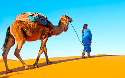 Marrakech al Desierto de Zagora · Ruta de 2 días y 1 noche