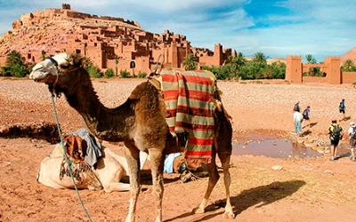Marrakech al Desierto · Ruta de 4 días y 3 noches